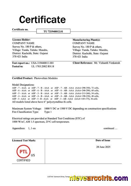 India certificate of company